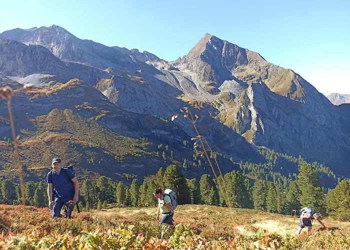 Natur- & Wanderhotel Tuxertal Hotel 4*