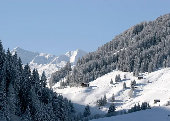 Natur- & Wanderhotel Tuxertal 4*