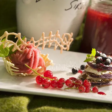 Natur-&wanderhotel Tuxertal Tux